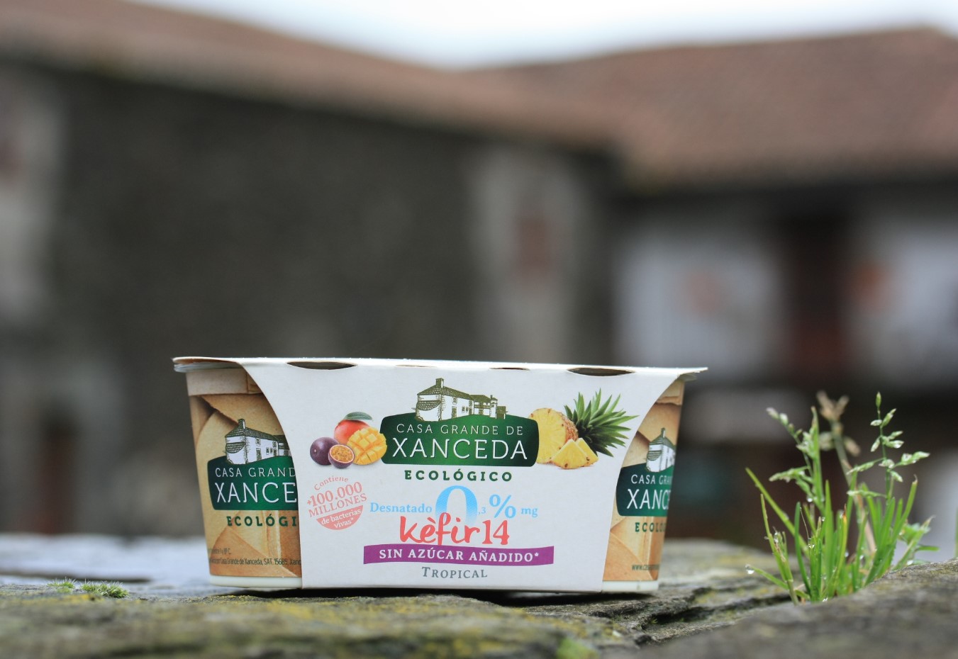 Nuevo Kéfir desnatado tropical ¡sin azúcar añadido!